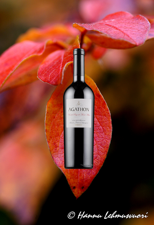 Agathon